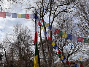 Large Lungta Prayer Flags