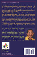Load image into Gallery viewer, Journey into Buddhahood: The Five Paths and the Ten Stages of Compassionate Beings