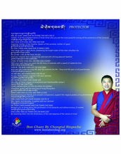 Load image into Gallery viewer, Invocation of Yeshe Walmo CD ("Protector")