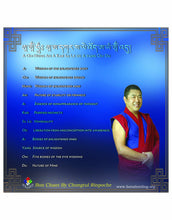 Load image into Gallery viewer, Sa Le Od - Bon Heart Mantra audio CD ("Purity")