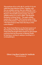 Load image into Gallery viewer, Three Heart Mantra Meditation Manual