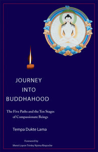 Journey into Buddhahood path of compassionate beings bodhisattvas Sa Lama Bhumis 